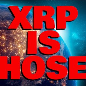 Ripple XRP/ODL Partner Now Has 95% MARKET DOMINANCE | RippleNet GM On FUTURE OF XRP