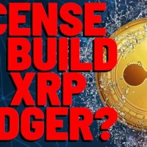 Ripple Issuing LICENSES To Build On XRP Ledger? Developer MOCKS The Idea AND IGNORANCE Of Maxi