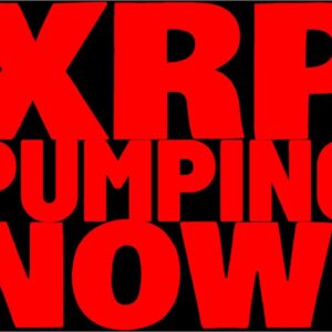 XRP PUMPING RIGHT NOW After Ripple Releases BIG NEWS! XRP Up 16% In Last HOUR, & I *MIGHT* Know Why