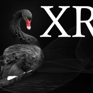 🚨CYBER HACK HAS OCCURRED & STOCK CRASH COMING🚨⚠️BLACKSWAN EVENT WILL LEAD TO RIPPLE/XRP ROLLOUT⚠️