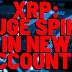 New XRP Accounts SPIKE AS PRICE HAS BEEN TRENDING UPWARD Indicating INEVITABLE RALLY