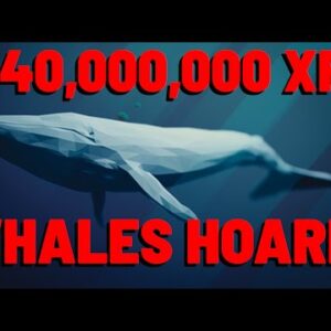 140 MILLION XRP Blasted Across Chain, XRP WHALES LOAD UP | MAJOR Exchange Supporting SGB