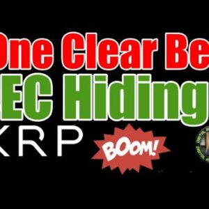 XRP Wealth Bet , Metaverse , Watchdog Sues SEC & Ripple CEO
