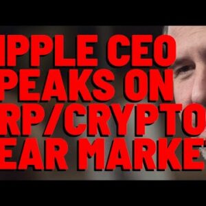 Brad Speaks On XRP/Crypto BEAR MARKET & Says SEC Overreach IS POWER GRAB