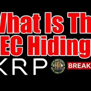 Investigate The SEC Heats Up & Ripple / XRP In The Wall Street Journal