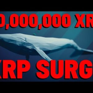70 MILLION XRP Moved To Ripple ODL CORRIDORS As Price POPS | What If Ripple BURNS IT'S XRP HOLDINGS?