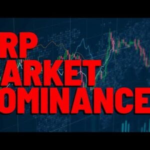 XRP: "DIFFERENT FROM LAST BEAR MARKET"