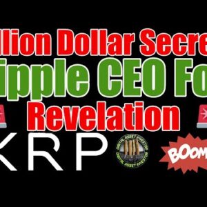 BREAKING Secret Sale & SEC Never Told Ripple CEO XRP Was A Security