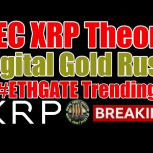 SEC vs. Ripple Enters The MetaVerse & XRP Theory