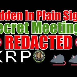 REDACTED! Ripple Liquidity Hub Theory & SpaceX XRP Wallet