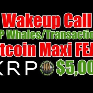 XRP Network Whales & Ripple / Bank Of England CBDC