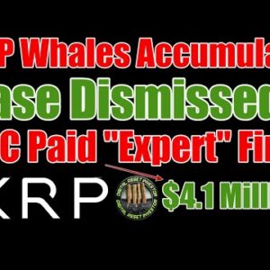 XRP Whales Buying Spree & Ripple CEO On China Surveillance CBDC