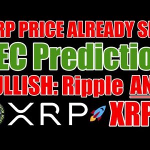 Future XRP Price Agreed On? & Crypto Winter NOT: Polysign / Ripple