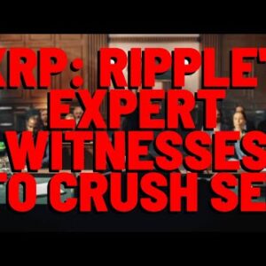 Attorney: Ripple's Expert Witnesses = "DREAM TEAM"