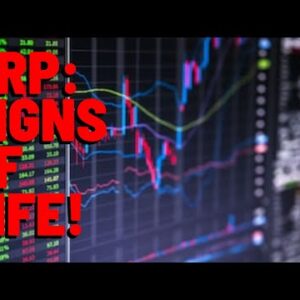 XRP: Signs of Life as CRYPTO RALLIES