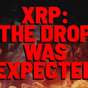 XRP: The Drop Was EXPECTED | Planning FOR NEXT BULL MARKET