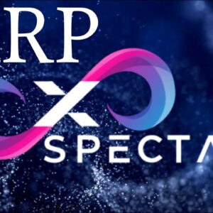 ⚠️THE BIGGEST RIPPLE/XRP OPPORTUNITY⚠️?XRP METAVERSE IS STARTING & XRPL NFTS WILL EXPLODE XSPECTAR?