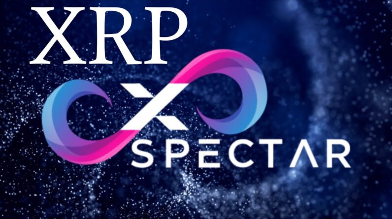 ⚠️THE BIGGEST RIPPLE/XRP OPPORTUNITY⚠️🚨XRP METAVERSE IS STARTING & XRPL NFTS WILL EXPLODE XSPECTAR🚨