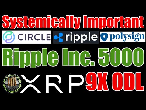 🚨Ripple Inc. 500 Fastest Growing🚨 & XRP / USDC (Stellar) / Polysign Systemically Important?