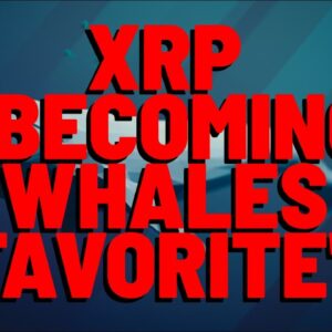XRP "BECOMING WHALES FAVORITE" | Stablecoin LAUNCHING On XRPL | Web3 Ripple Developments