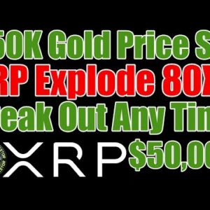 💥NEW Gold Standard💥Transportability Problem , XRP & Ripple