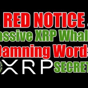 💥Record XRP Whale Buy💥& Ripple CEO : SEC Defied Judge 5 Times