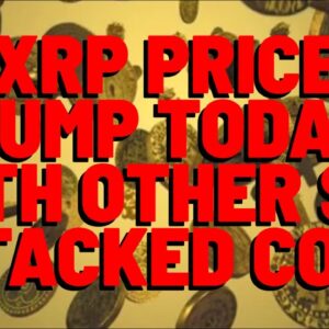 XRP: Coins Attacked By SEC JUMP IN PRICE TODAY