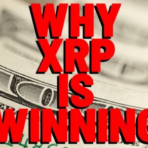 XRP Is WINNING And Ripple Exec Shoots Straight, EXPLAINS WHY