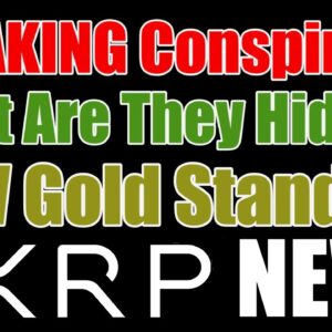 ?NEW Grand Conspiracy? & Ripple CEO : SEC Hiding Hinman Notes In XRP Case