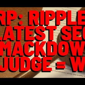 Ripple To Judge: SEC "HAD NO BUSINESS BRINGING THIS LITIGATION IN THE FIRST PLACE"