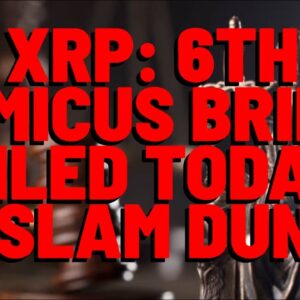 XRP: Yet ANOTHER Amicus Brief, & IT'S DIFFERENT THAN THE REST