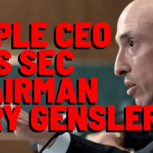 Ripple CEO RIPS SEC CHAIR GARY GENSLER