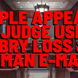 Ripple Cites LBRY LOSS & HINMAN E-MAIL SPECIFICS TO JUDGE TORRES