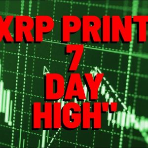 "XRP PRINTS 7 DAY HIGH"