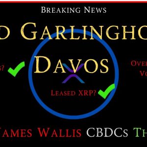 Ripple/XRP-Brad Garlinghouse/Davos,Ripple/James Wallis Head/Central Bank Engagement-CBDCs This Year