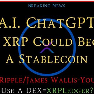 Ripple/XRP-James Wallis/Digital Pound Foundation-You Could Use A DEX/XRPLedger,CBDCs-Control Funds?