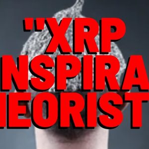 Our Community Slammed As "XRP CONSPIRACY THEORISTS"