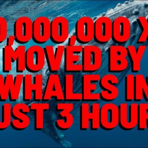 630 MILLION XRP Moved By WHALES In Just 3 HOURS As Pessimists Sound ALARM