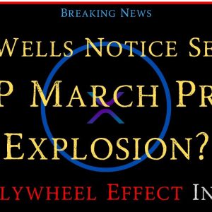 Ripple/XRP-SEC Wells Notice Served,US Paper Cash Illegal?,Ripple/VISA?,XRP March Price Explosion?