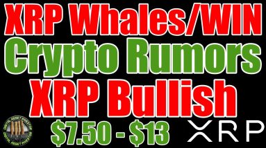 XRP Whale Transactions Increase , Ripple President Confident & Crypto Rumors