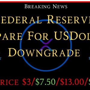 Ripple/XRP-David Schwartz,Federal Reserve Prepare USDollar Downgrade, XRP Price $3,$7,50,$13,$27.00?
