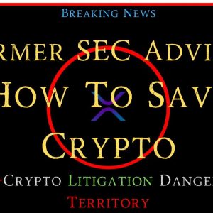 Ripple/XRP-SEC-Crypto Litigation In Dangerous Legal Territory, Former SEC Advisor-How To Save Crypto