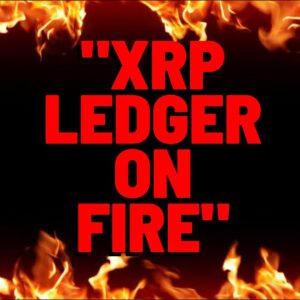 "XRP LEDGER ON FIRE" As Daily Transactions "SKYROCKET", Media Reports