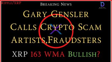 Ripple/XRP-Gensler-They`re All Crooks,A Ripple Loss,XRP Valuation $900-$500K,Ripple Partner News