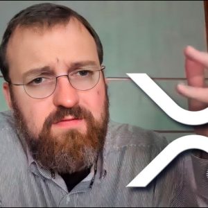 ????BULL INTERVIEWS CARDANO’S CHARLES HOSKINSON ON RIPPLE/XRP & ETH GATE | HINMAN EMAILS TO DROP NOW!!????