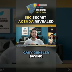 SEC Secret Agenda Revealed