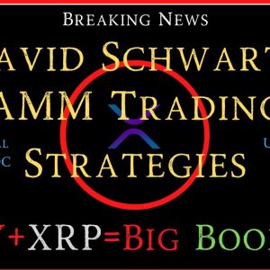 Ripple/XRP-David Schwartz AMM Trading Strategy,EU/MICA All Crypto Are Securities, DXY+XRP=Boom?