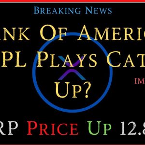 Ripple/XRP-SEC vs Ripple Withdraw Granted,XRPL,Bank Of America/Digitalization Is Core, XRP Up 12.8%