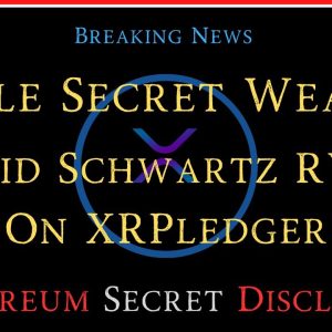 Ripple/XRP- Ethereum Secret Disclosed, David Schwartz-RWAs/Ripple Secret Weapon, SBF/FTX Caught