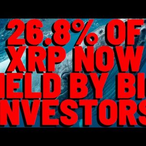 BIG XRP INVESTORS ADDED 1.5 BILLION, Now Account for 26.8% of Total Supply